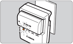 canon dslr charger blinking