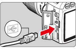 connect canon camera to computer