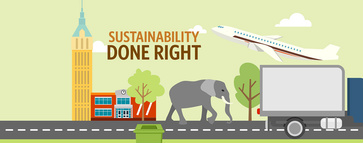 Infographic: Sustainability Done Right