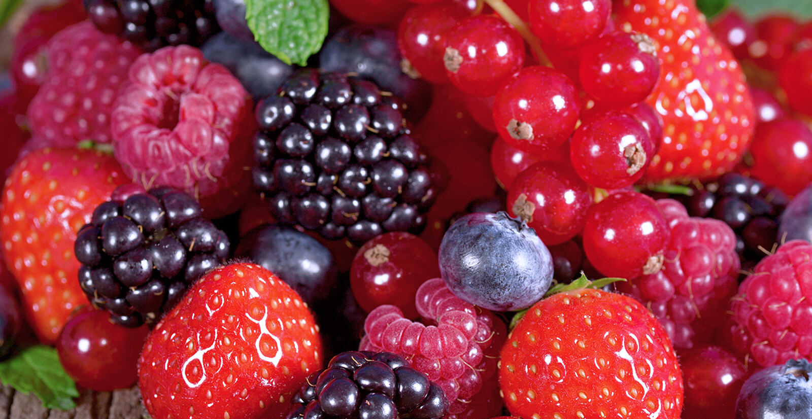 berries_website