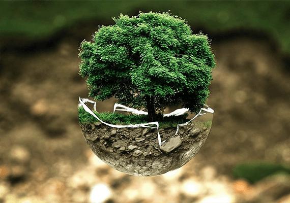 Increasing environmental awareness