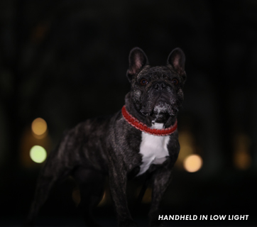 Eos R6 Image Stabilization Eos R6 Image Stabilization