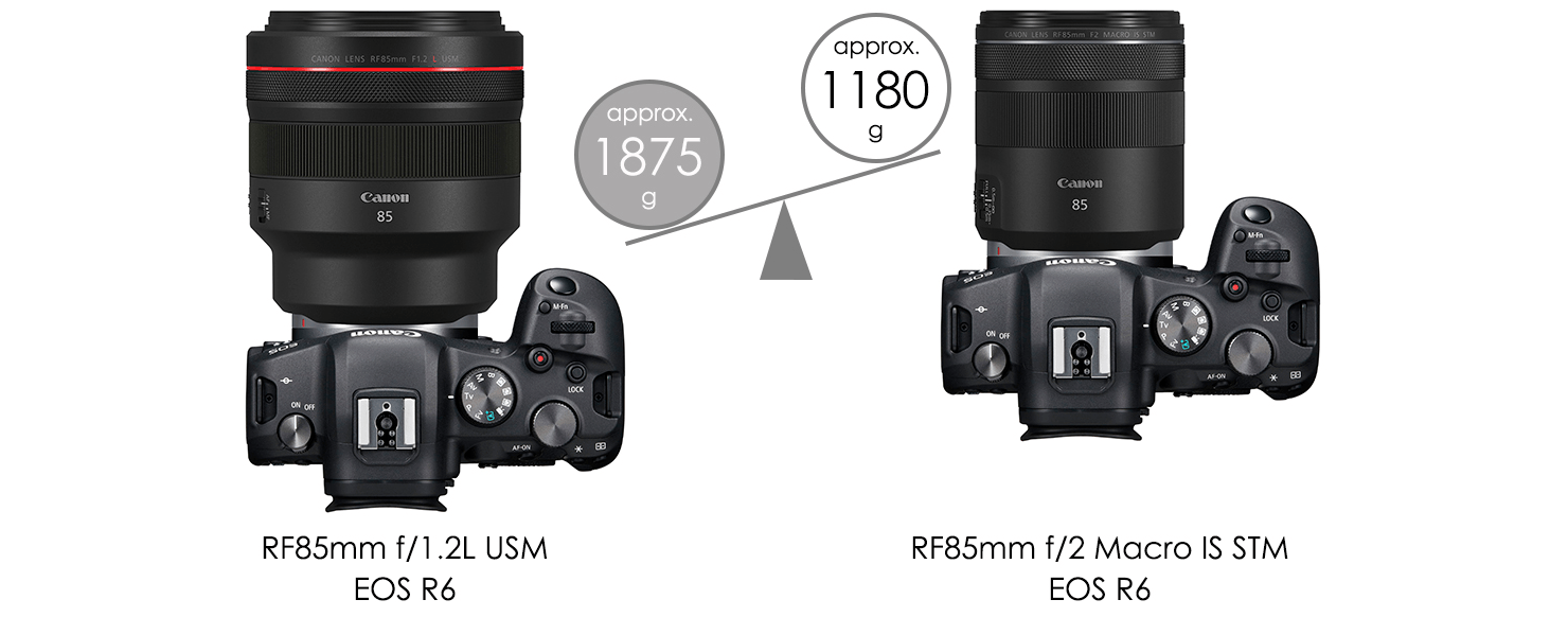 RF Lenses - RF85mm f/2 Macro IS STM - Canon Singapore