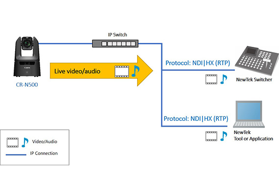 IP Multi-Stream