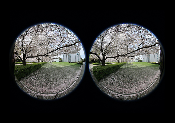 Image captured by dual fisheye lenses