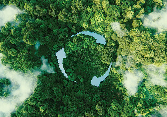 Living and Working Together for the Common Good