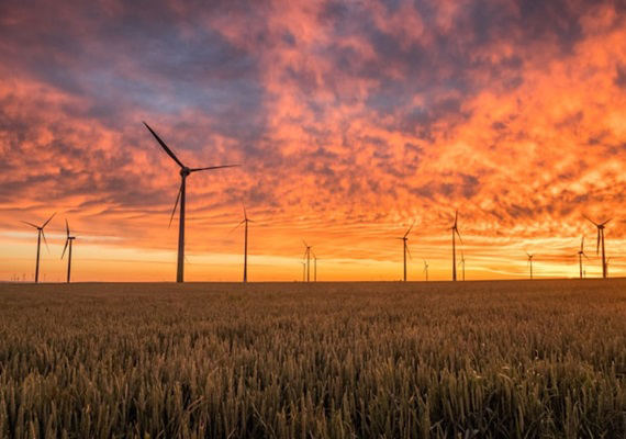 Environmental and Social Impact