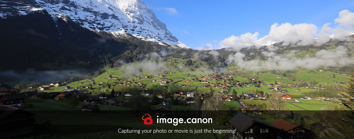 Canon_banner_1