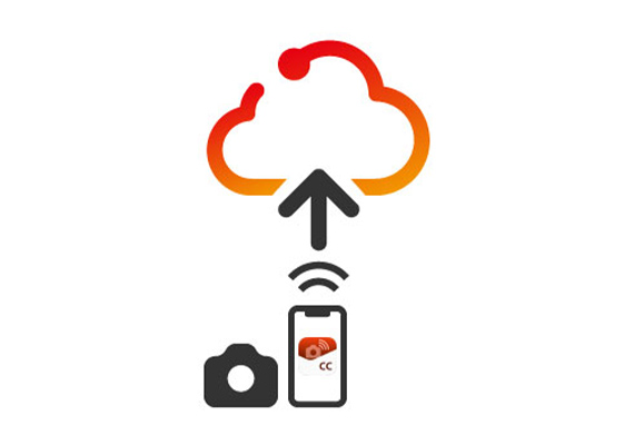 icon_570_connect