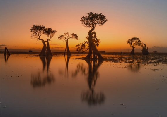 6D5N Sumba Photography workshop