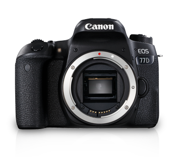 77d canon body